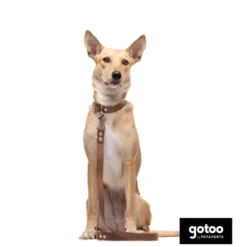 Gotoo Coleira vegan castanho para cães