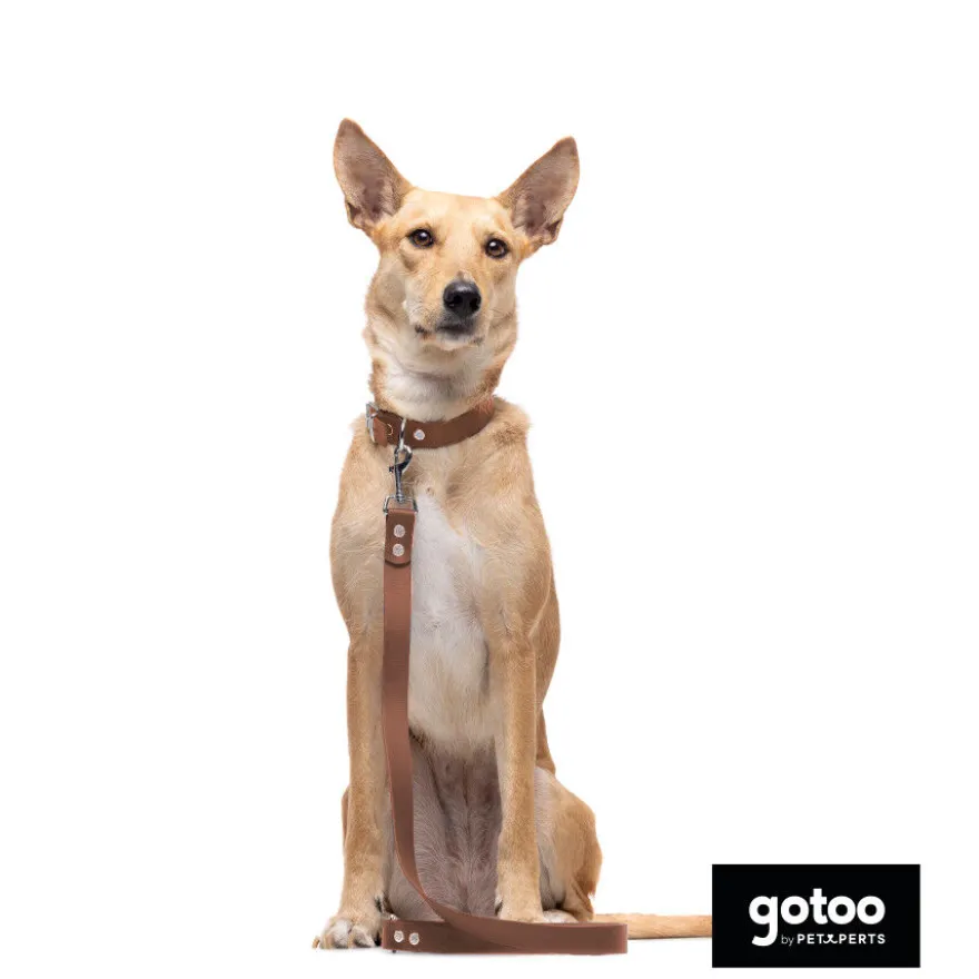 Gotoo Coleira vegan castanho para cães