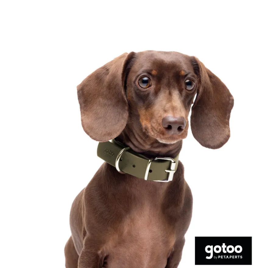 Gotoo Coleira vegan verde oliva para cães