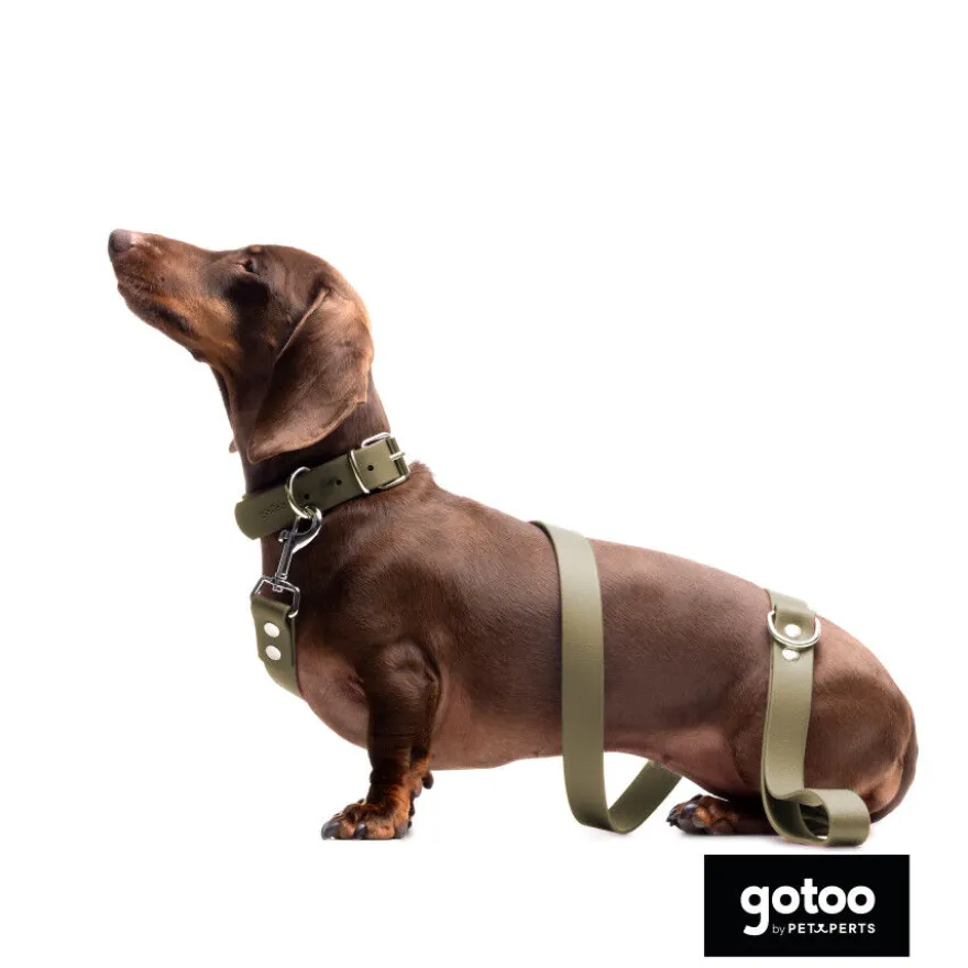 Gotoo Coleira vegan verde oliva para cães