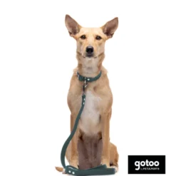 Gotoo Coleira vegan verde para cães