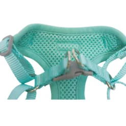 Gotoo Peitoral estampado estrelas verde menta para cães