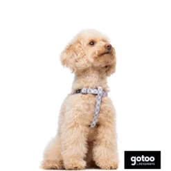 Gotoo Peitoral estampado xadrez vichy cinza para cães
