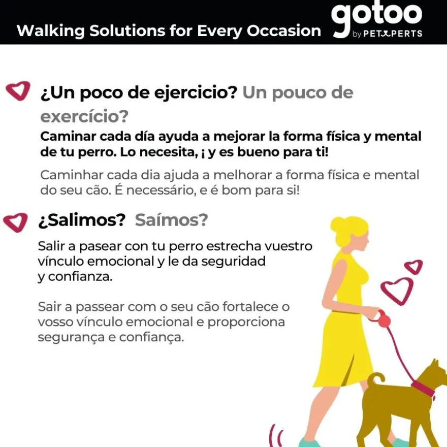 Gotoo Porta-sacoscom estampado de riscas zig-zag para cães