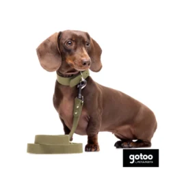 Gotoo Trela Biothane verde oliva para cães