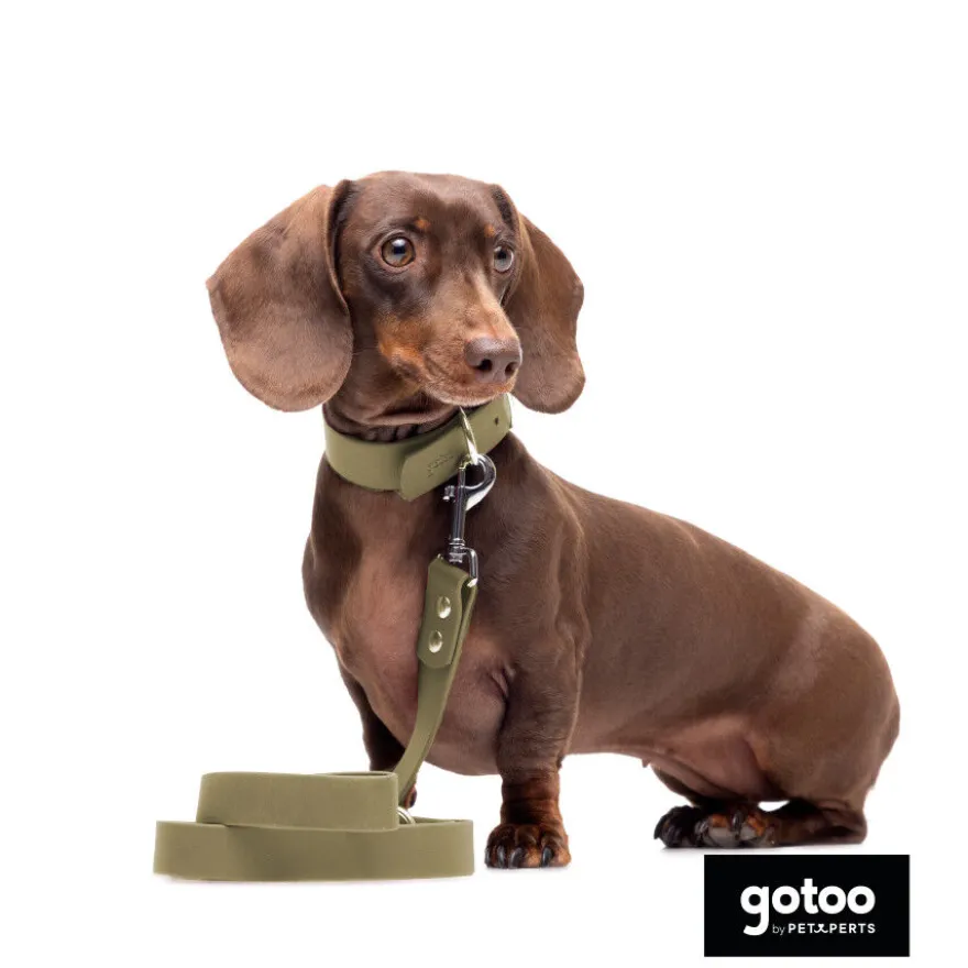 Gotoo Trela Biothane verde oliva para cães
