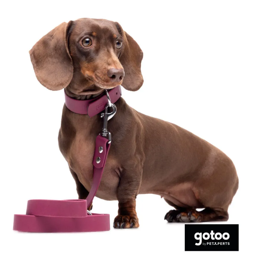Gotoo Trela Biothane Vermelha Vinho para Cães