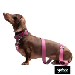 Gotoo Trela Biothane Vermelha Vinho para Cães