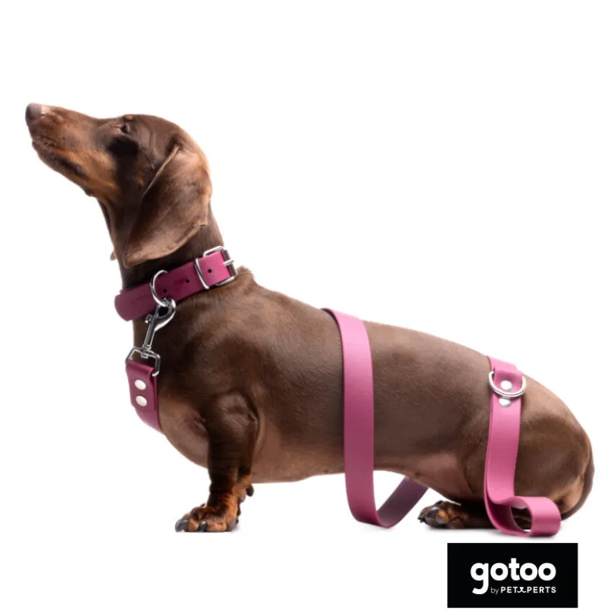 Gotoo Trela Biothane Vermelha Vinho para Cães