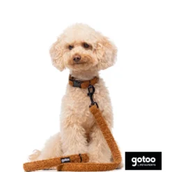 Gotoo Trela veludo castanha para cães