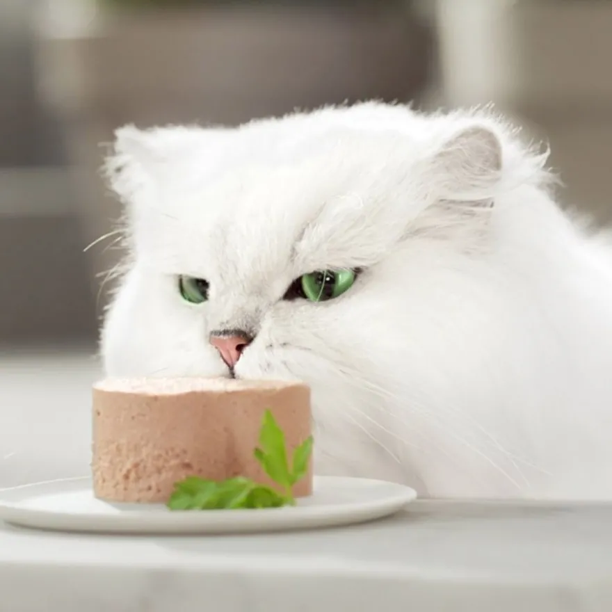 Gourmet Gold Mousse Alimento húmido de sabores variados em lata para gatos