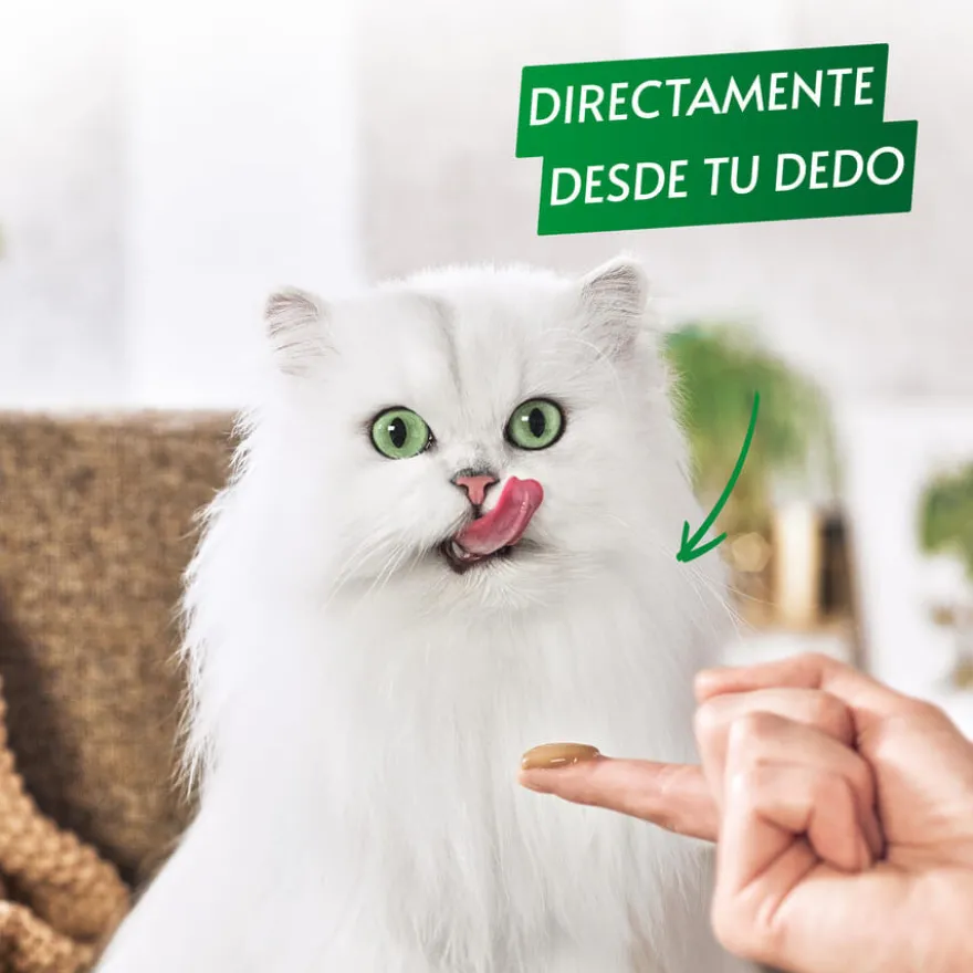 Gourmet Nature's Creations Snack Húmido de Frango para gatos