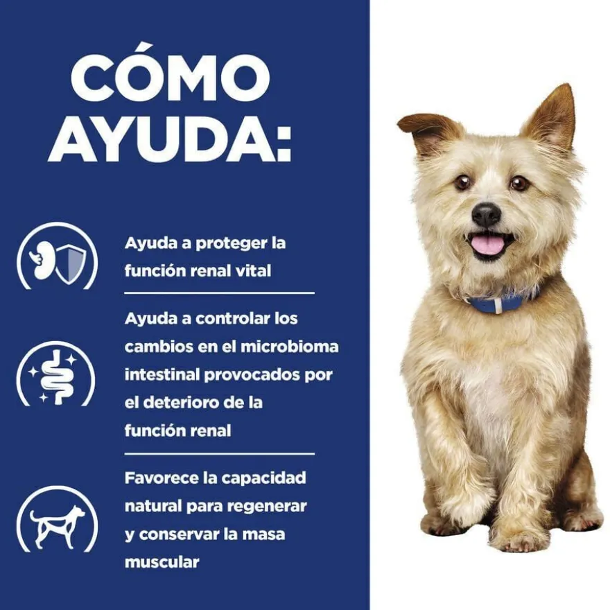 Hill's Kidney Care Frango e legumes patê lata para cães