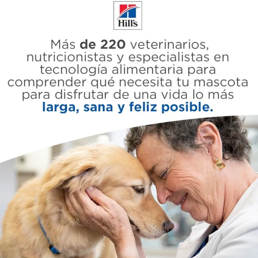 Hill's Large Adult Science Plan Perfect Digestion Frango ração para cães