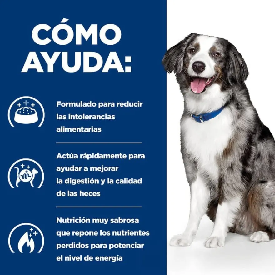 Hill's Prescription Diet Digestive Care i/d ração para cães