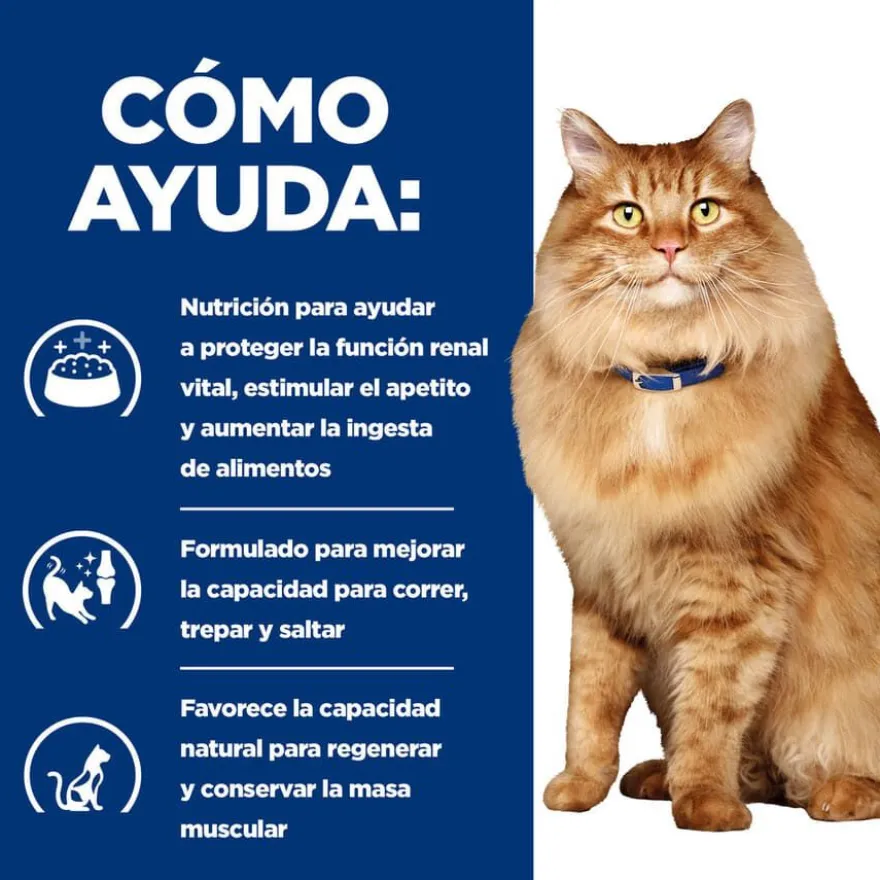 Hill's Prescription Diet k/d + Mobility Frango saqueta para gatos