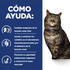 Hill's Prescription Diet Kidney Care k/d ração para gatos