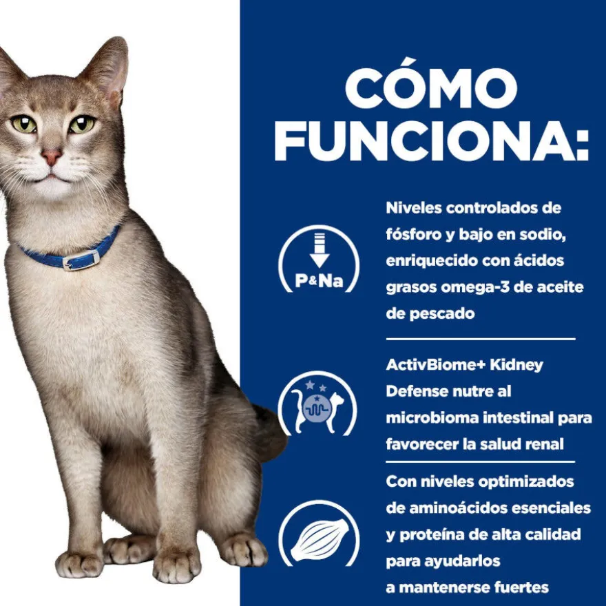 Hill's Prescription Diet Kidney Care k/d Salmão ração para gatos
