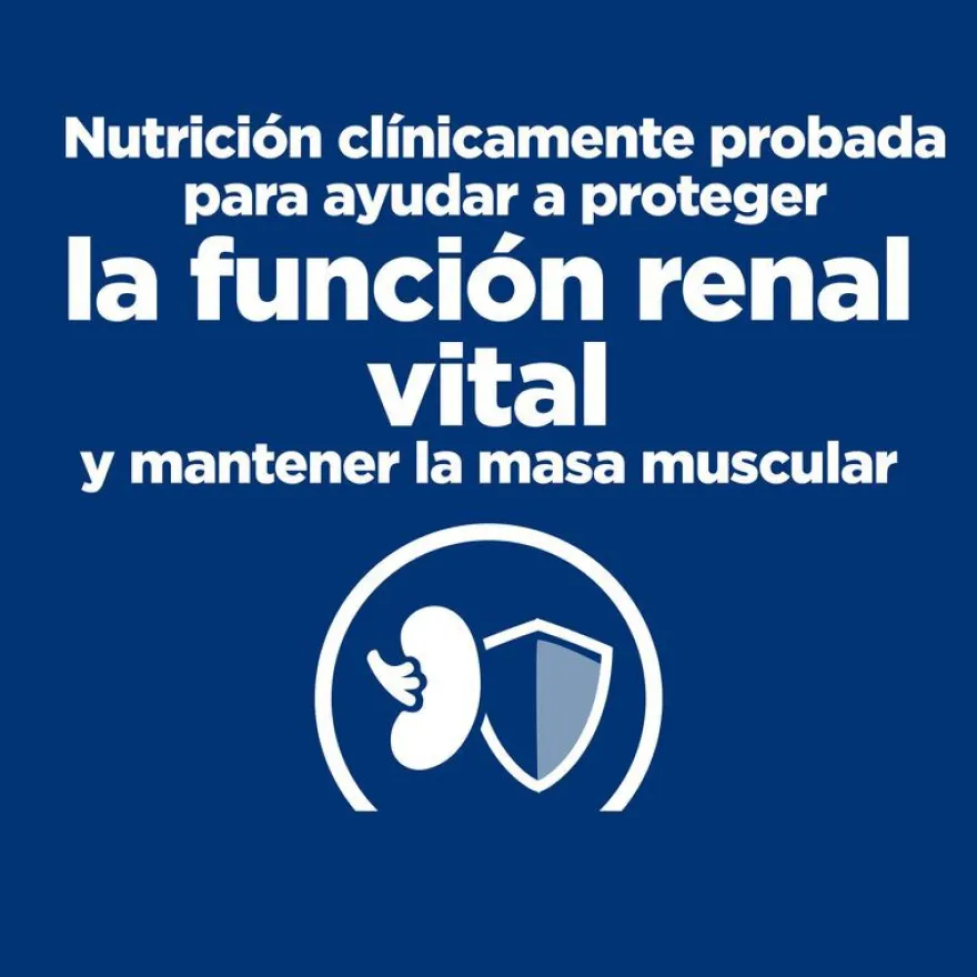 Hill's Prescription Diet Kidney Care k/d Salmão ração para gatos