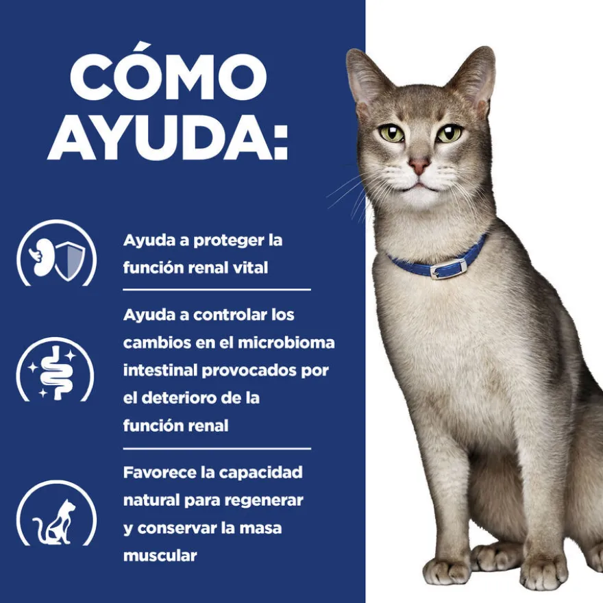 Hill's Prescription Diet Kidney Care k/d Salmão ração para gatos