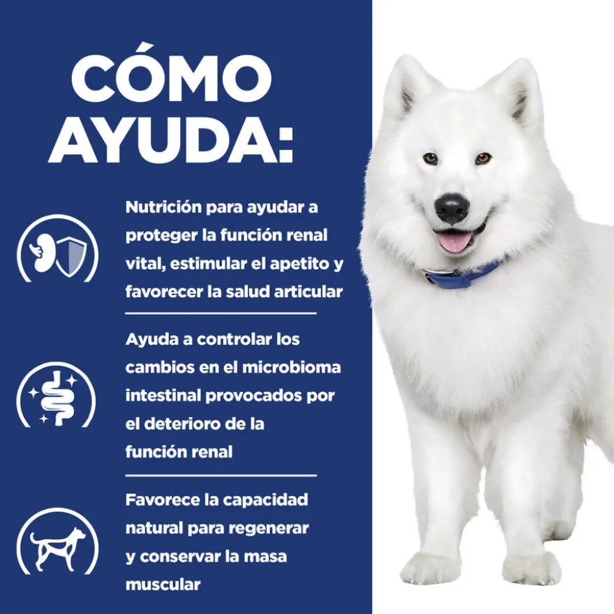 Hill's Prescription Diet Kidney + Mobility ração para cães