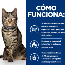 Hill's Prescription Diet Metabólico Controlo de Peso Peixe Saqueta com Molho para gatos
