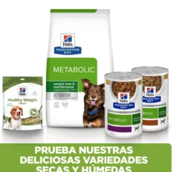 Hill's Prescription Diet Metabolic Frango lata para cães