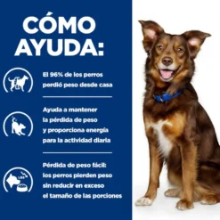Hill's Prescription Diet Metabolic Lata de carne e vegetais para cães
