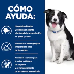 Hill's Prescription Diet t/d Dental Care Ração de frango para cães médios