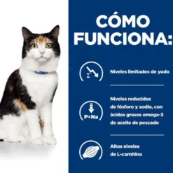 Hill's Prescription Diet Thyroid Care y/d ração para gatos