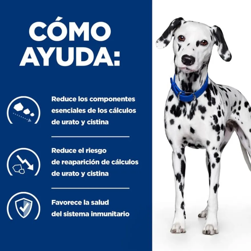 Hill's Prescription Diet Urinary Care u/d ração para cães