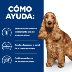 Hill's Prescription Diet z/d Food Sensitive ração para cães