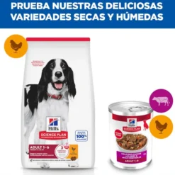 Hill's Science Plan Adult Comida húmida de Vaca e Legumes para cães