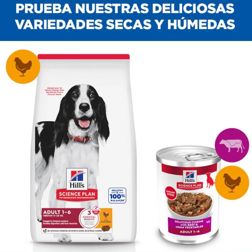 Hill's Science Plan Adult Comida húmida de Vaca e Legumes para cães