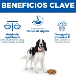 Hill's Science Plan Adult Comida húmida de Vaca e Legumes para cães