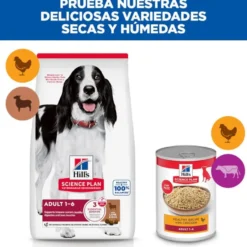 Hill's Science Plan Adult Medium Ração de cordeiro e arroz para cães de raças médias