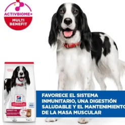 Hill's Science Plan Adult Medium Ração de cordeiro e arroz para cães de raças médias