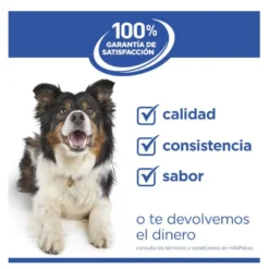 Hill's Science Plan Hipoalergénico Large Salmão ração para cães