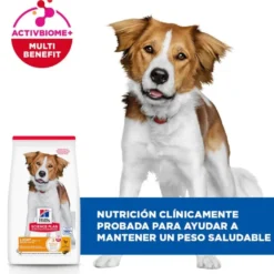 Hill's Science Plan Light Ração de frango para cães de raças médias
