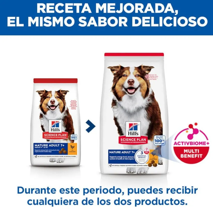 Hill's Science Plan Mature Adult Medium Ração de frango para cães de raças médias
