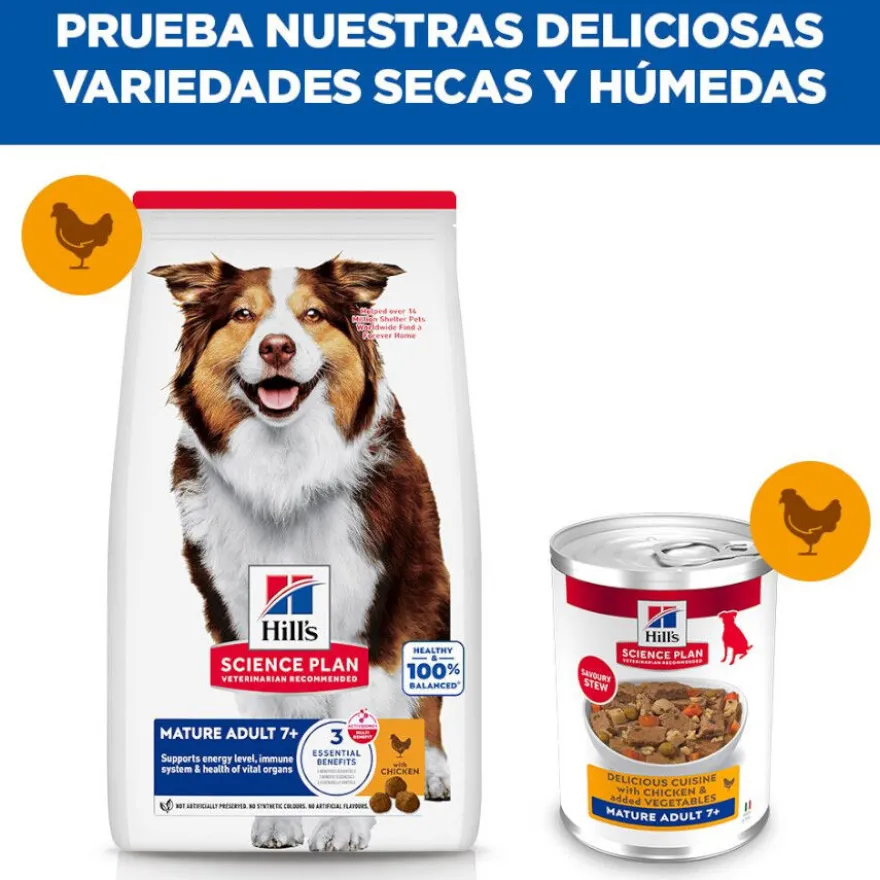 Hill's Science Plan Mature Comida húmida para cães séniores