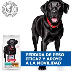 Hill's Science Plan Perfect Weight y Active Mobility frango ração para cães