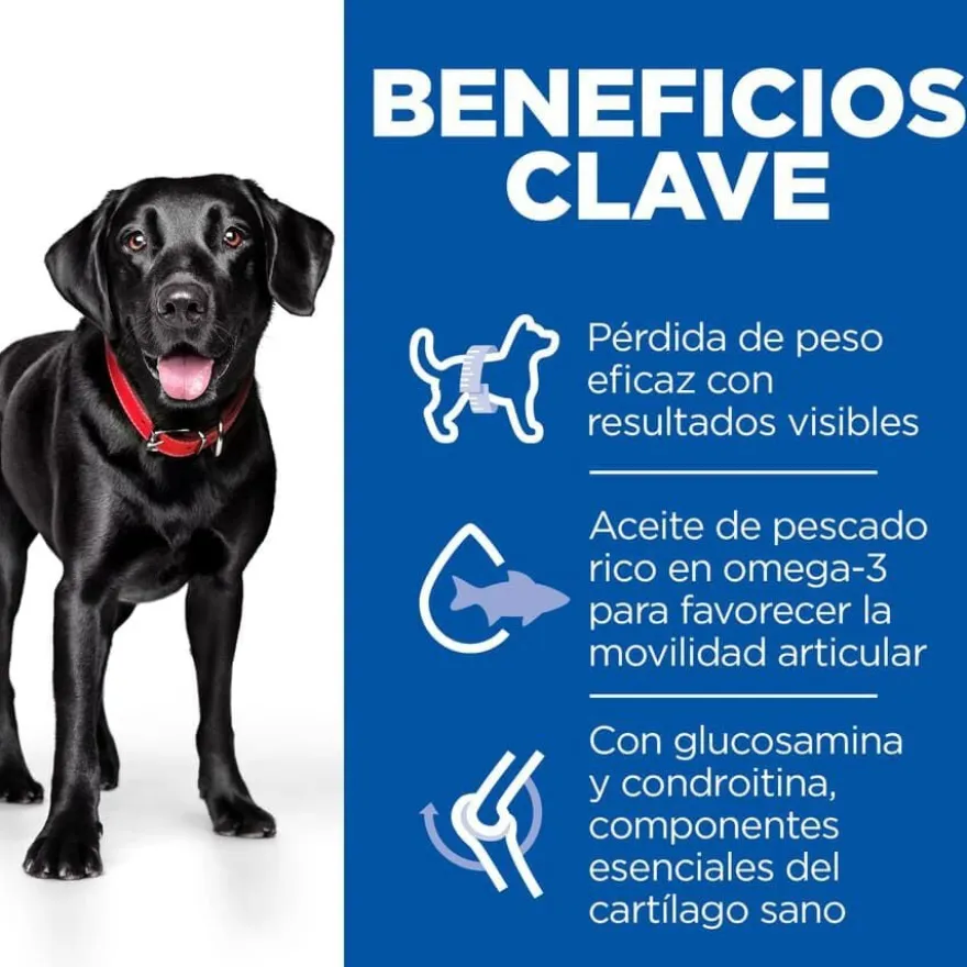 Hill's Science Plan Perfect Weight y Active Mobility frango ração para cães