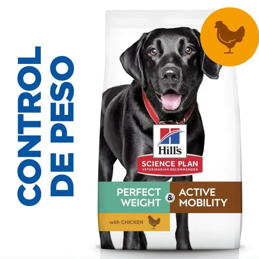 Hill's Science Plan Perfect Weight y Active Mobility frango ração para cães