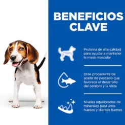 Hill's Science Plan Puppy Beef Pâté enlatado para cães