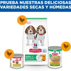 Hill's Science Plan Ração de frango para cachorros de raças médias