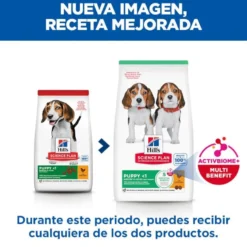 Hill's Science Plan Ração de frango para cachorros de raças médias