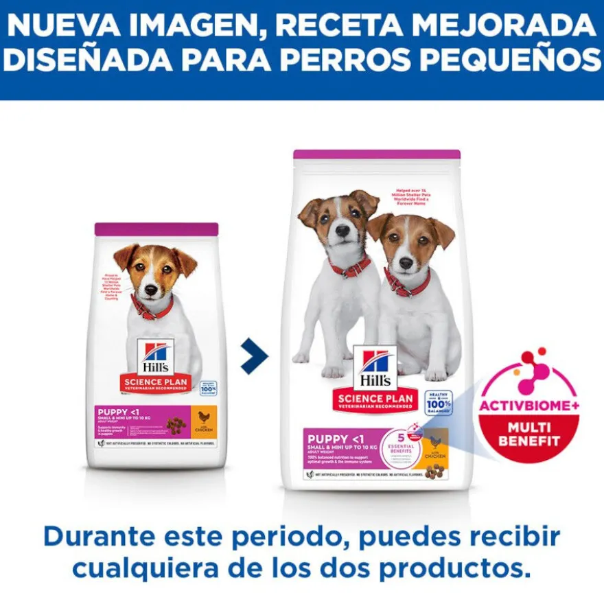 Hill's Science Plan Ração de frango para cães de raças mini