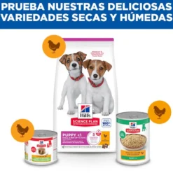 Hill's Science Plan Ração de frango para cães de raças mini