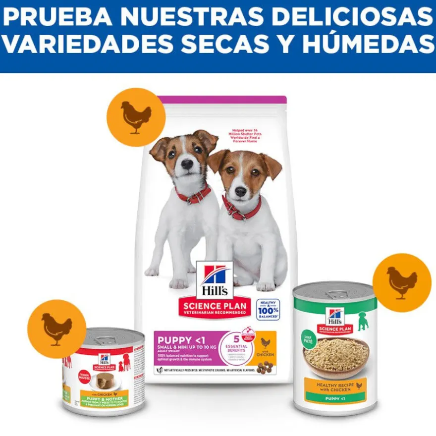 Hill's Science Plan Ração de frango para cães de raças mini